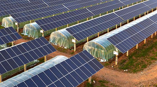 Landwirtschaftliche Solarstruktur
