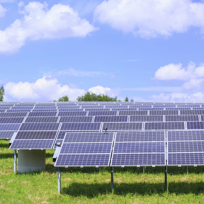 Polens größter Solarpark geht ans Netz
